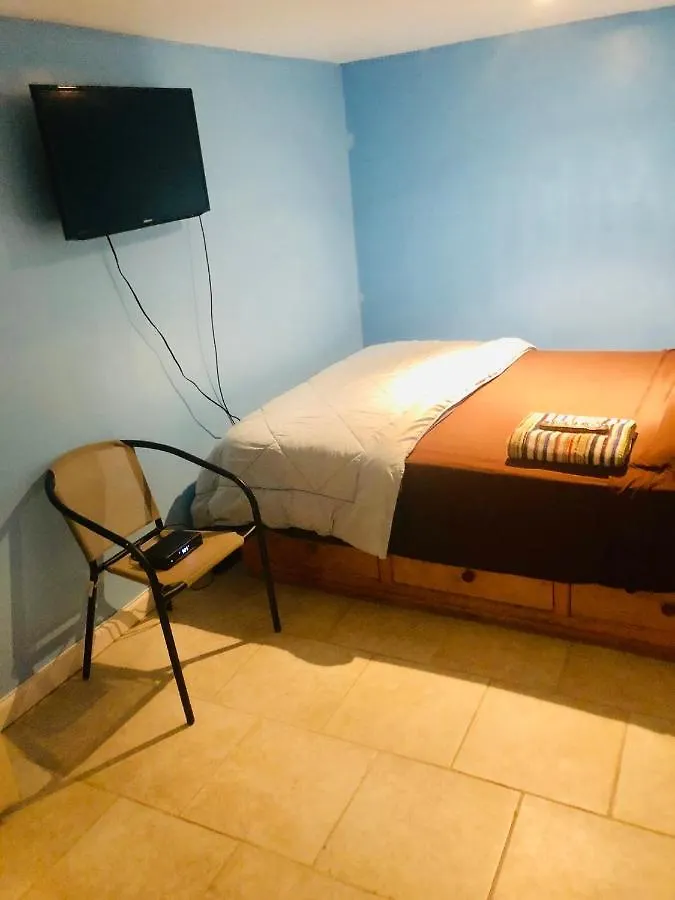 Brooklyn Blue House Apartment New York Homestay
